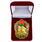 Знак в бархатистом футляре 100 выходов на охрану госграницы СССР 1