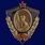 Знак Отличник службы ВВ МООП муляж 1