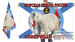 Флаг Морская пехота Северного флота 90х135 большой 2