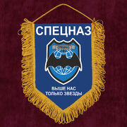Вымпел ГРУ Выше нас только звёзды