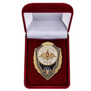 Знак в бархатистом футляре Отличник РЭБ