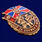 Знак в бархатистом футляре За службу в ФСБ 5