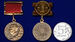 Почетный знак Лауреат Сталинской премии 1 степени 1951 в бархатистом футляре (муляж) 10