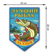 Автомобильная наклейка Лучшему рыбаку (22x15 см)