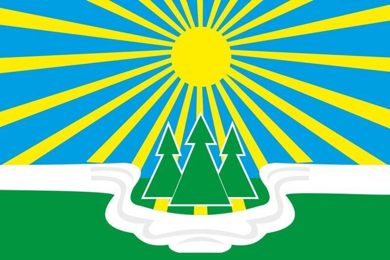 Флаг Светогорска Ленинградской области 90x135 большой
