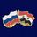 Значок Россия и Сирия 1