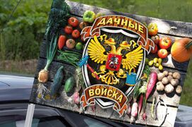 Флаг на машину с кронштейном Дачные войска