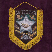 Вымпел За трофеи