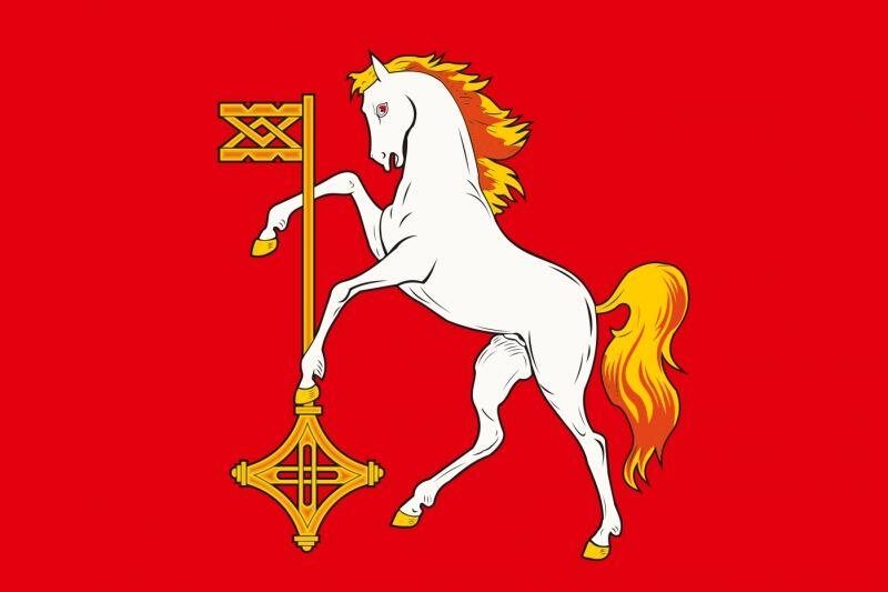 Флаг Кохмы Ивановской области 90x135 большой