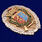 Знак Лидский пограничный отряд 2