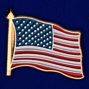 Значок США