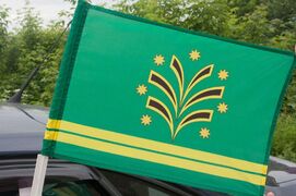 Флаг на машину с кронштейном Черноморского