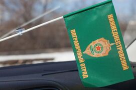 Флажок в машину с присоской Нижнеднестровский ПогО
