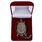 Знак в бархатистом футляре Пограничный надзор