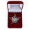 Знак Лучшему ударнику-рационализатору муляж в бархатистом футляре