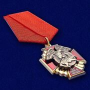Медаль За бои в Чечне