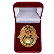 Знак в бархатистом ФПС РФ 100 выходов на охрану границы