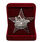 Знак Лучшему ударнику-рационализатору муляж в бархатистом футляре 3