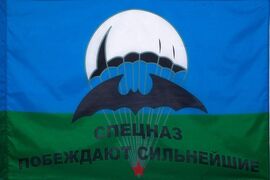 Флаг спецназа ВДВ Побеждают сильнейшие 90х135 большой