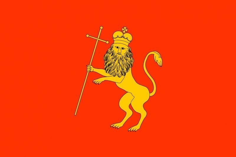 Флаг Владимира