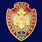 Знак Ветеран МЧС  коллекционные 50 экземпляров в наградной коробке с удостоверением в комплекте 3