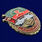 Знак За службу в 201-ой Гатчинской ВБ 2