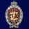 Знак Лучший сотрудник специальных подразделений полиции 1