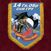 Вымпел 14 Гв. ОБрСпН ГРУ