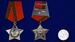 Памятный знак Афганская слава 2