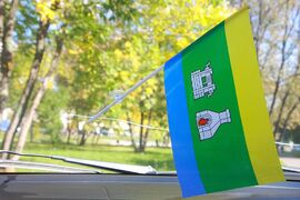 Флажок в машину с присоской Екатеринбурга