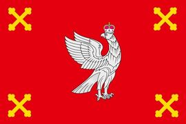 Флаг Шуйского района Ивановской области
