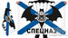 Флаг спецназа ВМФ 2