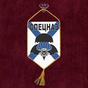 Вымпел спецназовцу - с эмблемой на присоске