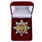 Знак Пивных войск в бархатистом футляре 2