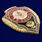 Знак Отличник Железнодорожных войск РФ 3