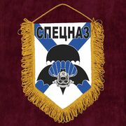 Вымпел спецназовцу - с эмблемой