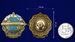 Знак Подводный флот России 3