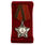 Знак в бархатистом футляре Афганская слава 3