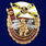 Знак За службу в войсках РХБ защиты 1