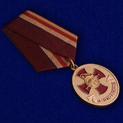 Медаль За службу в спецназе