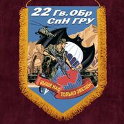 Вымпел 22 Гв. ОБрСпН ГРУ