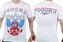 Футболка Герб Российской Федерации (Триколор) 9