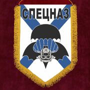 Военный вымпел спецназовцу - с эмблемой