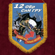 Вымпел 12 ОБрСпН ГРУ