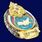 Знак За отличие МЧС коллекционный выпуск,50 экземпляров 1