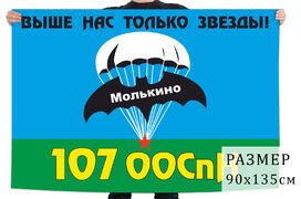 Флаг 107 ООСпН ГРУ