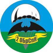 Наклейка 2 ОБрСпН