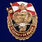 Знак За службу в 34 ОБрОН 1