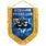 Вымпел Разведка ГРУ 5