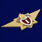 Знак Классный специалист МЧС 1-го класса 2